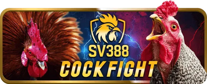 Ưu đãi và khuyến mãi xs66